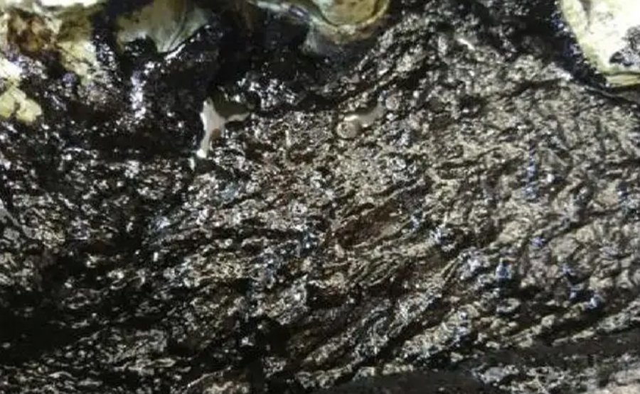 行星齒輪傳(chuán)動對石化含油汙泥處理效率有(yǒu)何突破性(xìng)影響?(圖1) undefined